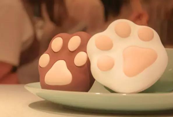 新手推荐：颜值爆棚小猫掌，还是个暖宝宝！插图1