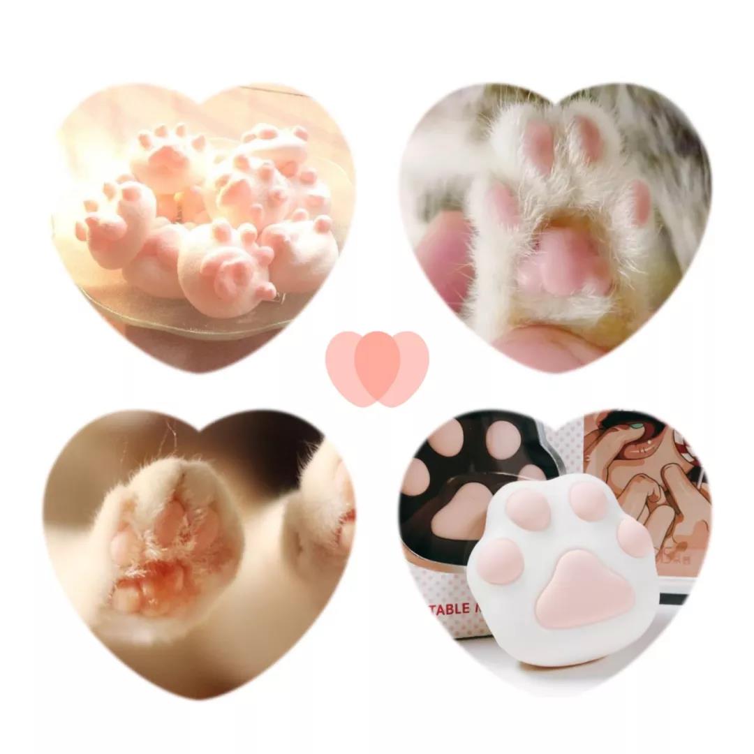 新手推荐：颜值爆棚小猫掌，还是个暖宝宝！插图2