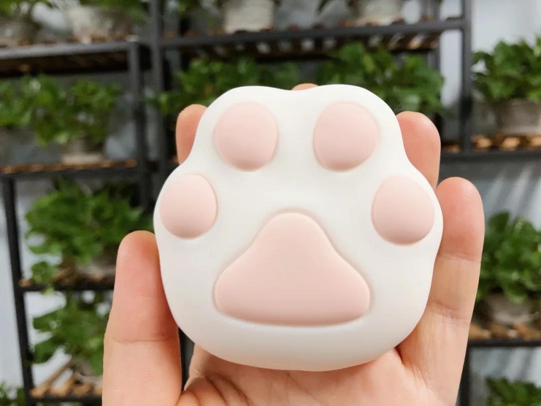 新手推荐：颜值爆棚小猫掌，还是个暖宝宝！插图3