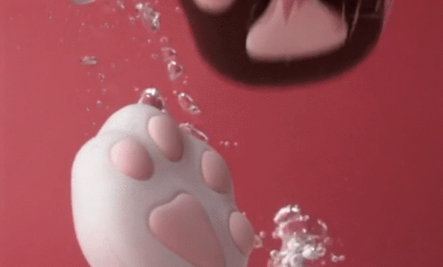 新手推荐：颜值爆棚小猫掌，还是个暖宝宝！插图9