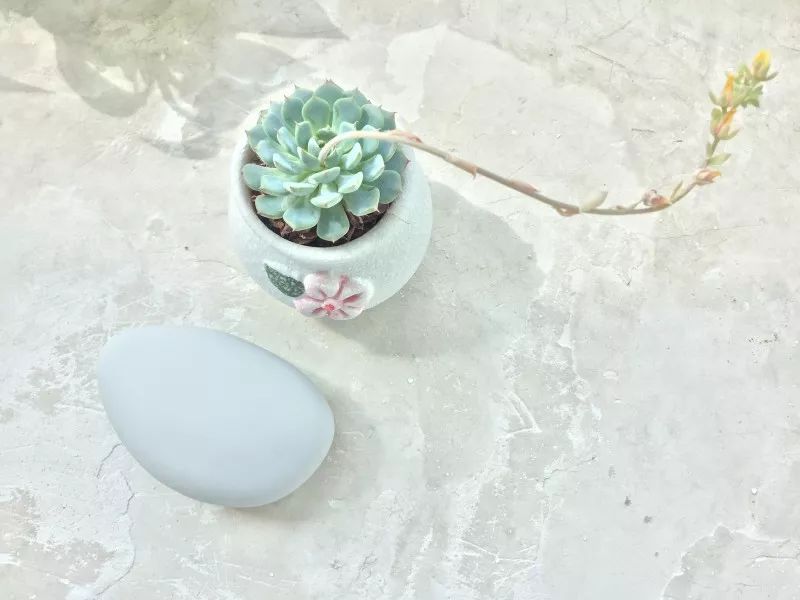 玩测评 | 一朵“祥云”，情趣玩具界的国货之光！插图17