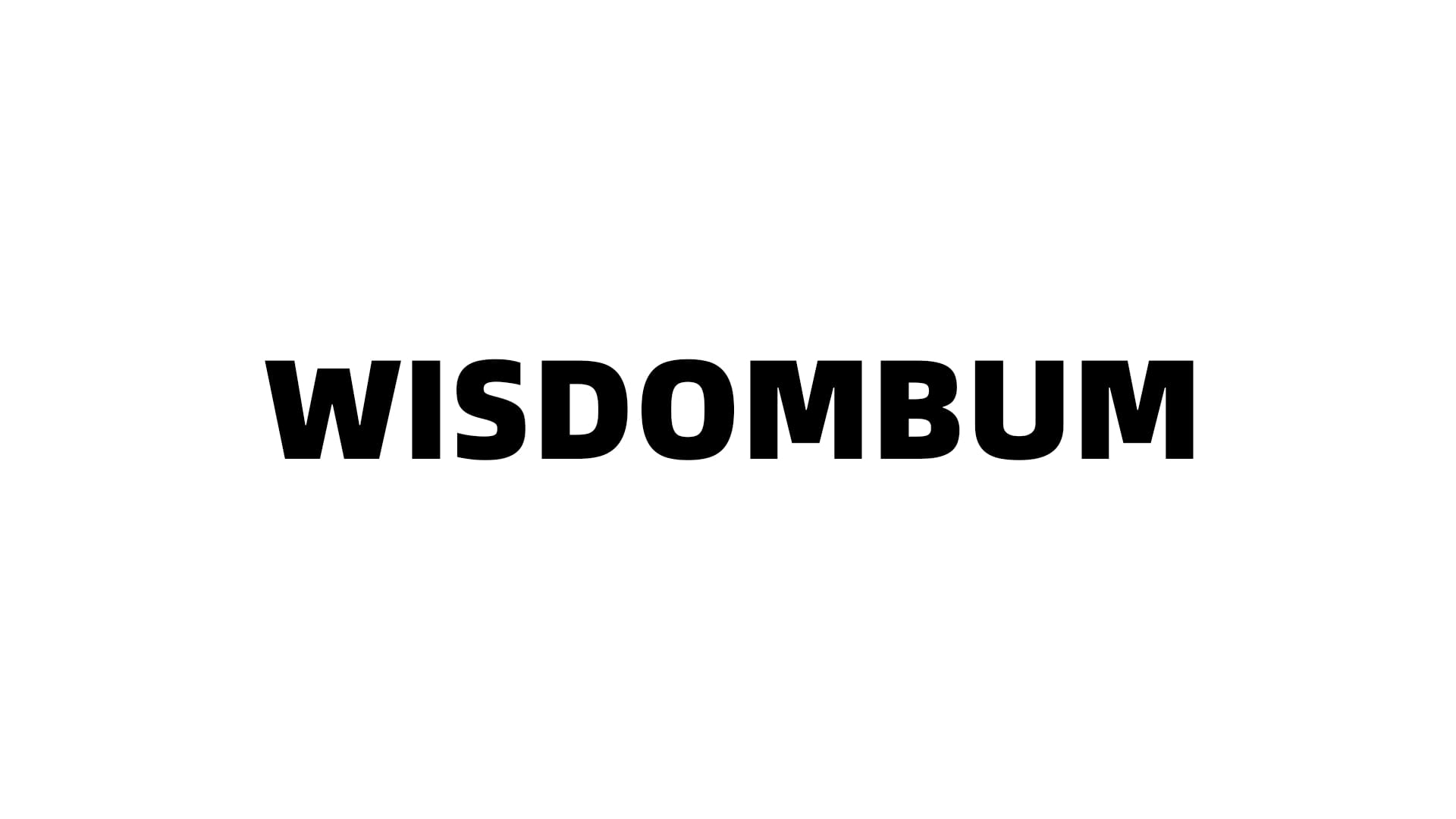 美国WISDOMBUM飞机杯品牌百科-广州器具大师网络运营中心