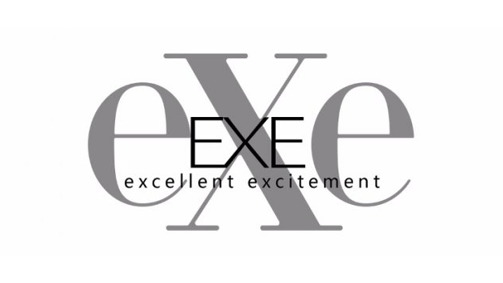 日本EXE（excellent excitement）飞机杯品牌百科-广州器具大师网络运营中心